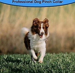 PATPET No Pull Prong Training Pinch Dog Collar, Silver, 22-in neck, 3.5-mm wide slide 2 of 8