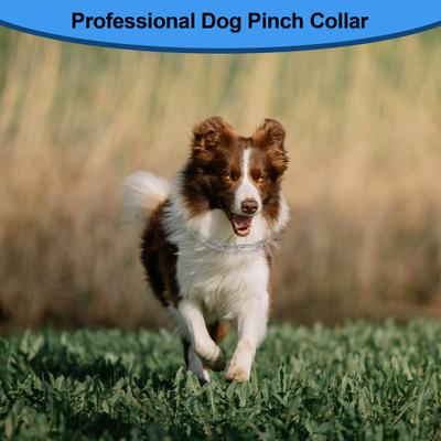 Show full view: PATPET No Pull Prong Training Pinch Dog Collar, Silver, 22-in neck, 3.5-mm wide slide 4 of 10