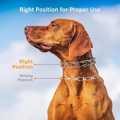 Show full view: PATPET No Pull Prong Training Pinch Dog Collar, Silver, 25-in neck, 4.0-mm wide slide 4 of 9