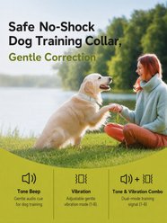 PATPET No Shock Remote Waterproof Rechargeable Dog Training E-Collar, Grey, 1 count slide 2 of 9