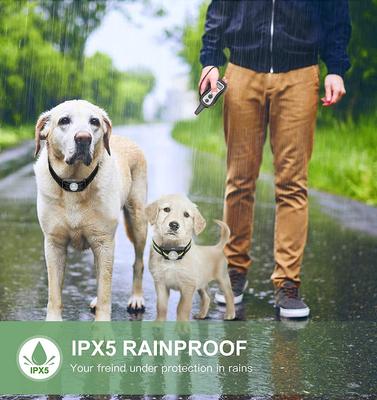 Show full view: PATPET P301 1000ft Remote Dog Bark Control & Training Shock Collar, 2 count slide 3 of 10