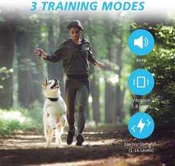 PATPET P303 1000ft Remote Dog Training Shock Collar slide 2 of 7