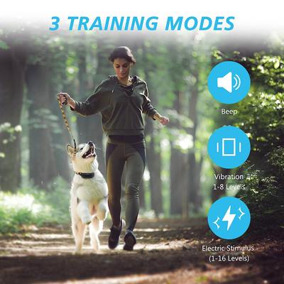 Show full view: PATPET P303 1000ft Remote Dog Training Shock Collar slide 2 of 8