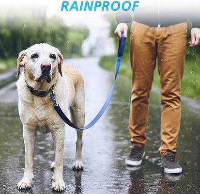 Show full view: PATPET P303 1000ft Remote Dog Training Shock Collar slide 5 of 8