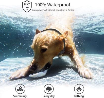 Show full view: PATPET P320 1000ft Remote Dog Training Shock eCollar, Small, Black 1 count slide 4 of 11