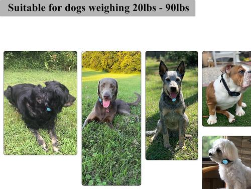 Show full view: PATPET P320 1000ft Remote Dog Training Shock eCollar, Small, Blue, 1 count slide 6 of 10