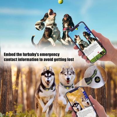 Show full view: PATPET P320B NFC ID Pet Tag & 1000-ft Remote Dog Training Collar, Black, 2 count slide 5 of 10