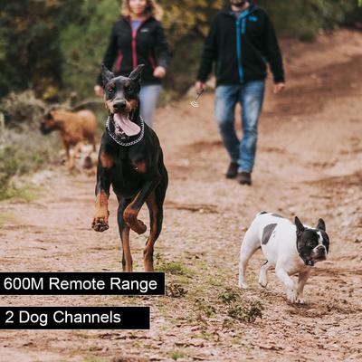 Show full view: PATPET P620B 2000-foot Adult Dog Training Shock Collar with Remote, Medium/Large, 2 count slide 4 of 9