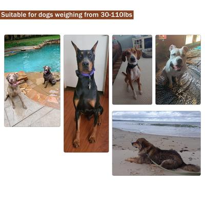 Show full view: PATPET P620B 2000-foot Adult Dog Training Shock Collar with Remote, Medium/Large, 2 count slide 7 of 9