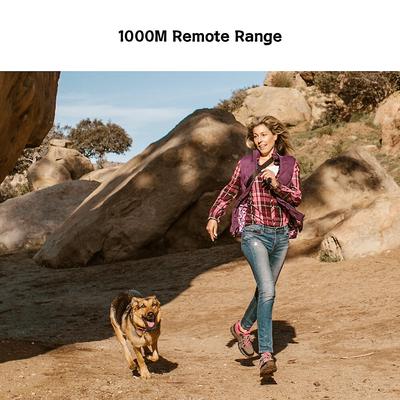 Show full view: PATPET P640 Outdoor 1000M Waterproof Remote Dog Training Collar, 2 count slide 4 of 10