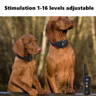 Show full view: PATPET P640 Outdoor 1000M Waterproof Remote Dog Training Collar, 2 count slide 5 of 10