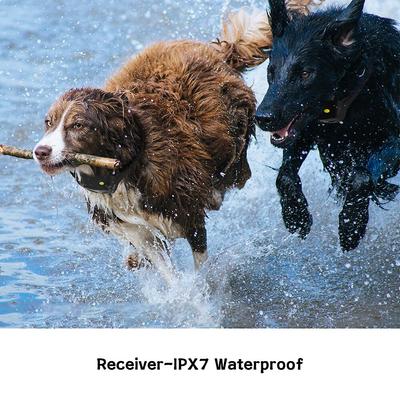 Show full view: PATPET P640 Outdoor 1000M Waterproof Remote Dog Training Collar, 2 count slide 6 of 10