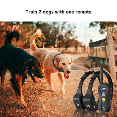 Show full view: PATPET P640 Outdoor 1000M Waterproof Remote Dog Training Collar, 2 count slide 7 of 10