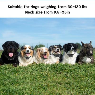 Show full view: PATPET P640 Outdoor 1000M Waterproof Remote Dog Training Collar, 2 count slide 8 of 10