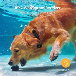 PATPET P640 Outdoor Remote Dog Training Shock Collar, 1000M slide 2 of 8