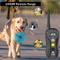 Show in main carousel: PATPET P640 Outdoor Remote Dog Training Shock Collar, 1000M slide 5 of 11