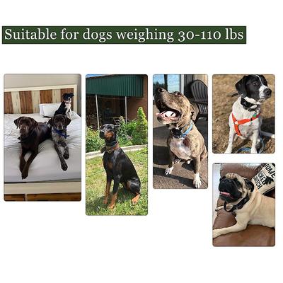 Show full view: PATPET P640 Outdoor Remote Dog Training Shock Collar, 1000M slide 7 of 11