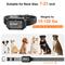Show in main carousel: PATPET P642 2000ft Waterproof Dog Training Collar with Remote, Black slide 8 of 10