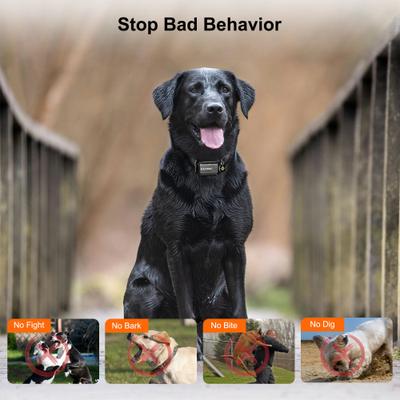 Show full view: PATPET P642 2000ft Waterproof Dog Training Collar with Remote, Black slide 4 of 10