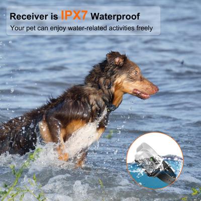 Show full view: PATPET P642 2000ft Waterproof Dog Training Collar with Remote, Black slide 6 of 10