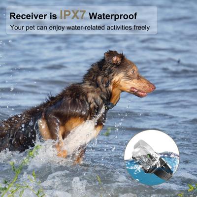 Show full view: PATPET P642 2000ft Waterproof Dog Training Collar with Remote, Khaki slide 6 of 10