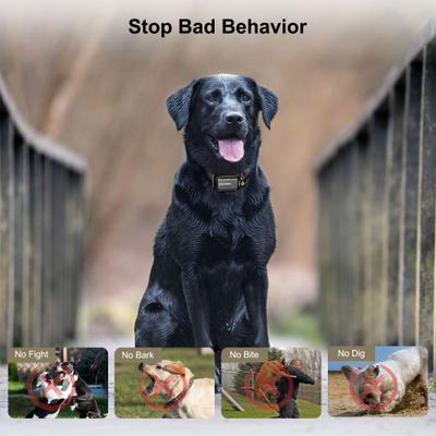 Show full view: PATPET P642 2000ft Waterproof Dog Training Collar with Remote, Khaki slide 4 of 10