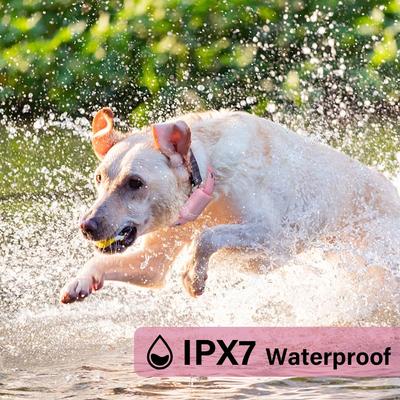 Show full view: PATPET P650 Anti-Bark & Remote Dog Training Collar, Small, Pink, 1 count slide 3 of 9