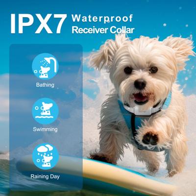 Show full view: PATPET P650 Anti-Bark & Remote Dog Training Collar, White, 1 count slide 4 of 10