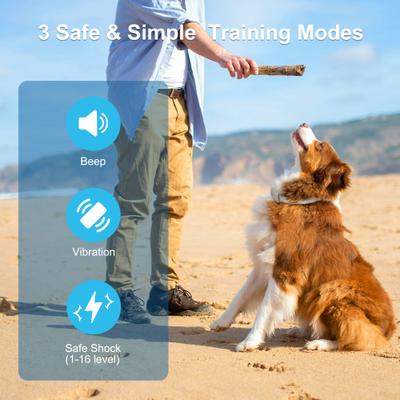 Show full view: PATPET P650 Anti-Bark & Remote Dog Training Collar, White, 1 count slide 2 of 10