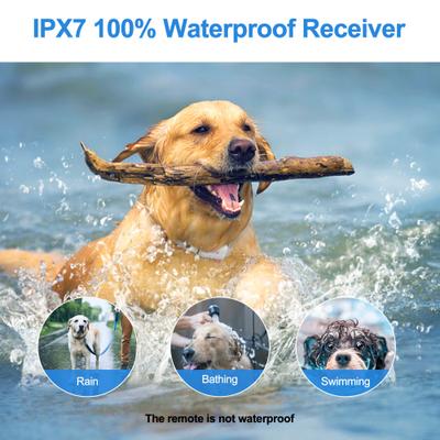 Show full view: PATPET P650 Anti-Bark & Remote Dog Training Collar, White, 2 count slide 3 of 10