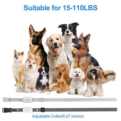 Show full view: PATPET P650 Anti-Bark & Remote Dog Training Collar, White, 2 count slide 5 of 10