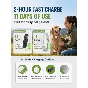 PATPET P650 Remote Dog Training Collar, White, 1 count