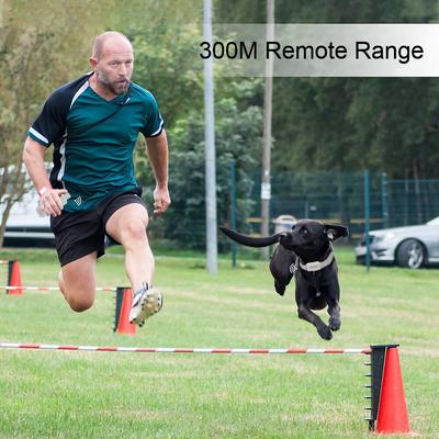 Show full view: PATPET P651A Vibration & Beep Remote Dog Training Collar & NFC ID Tag, Grey slide 5 of 9