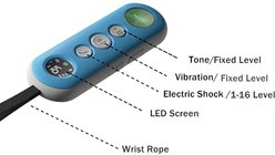PATPET P680 Lightweight Remote Dog Training Collar, 1 count, Sky Blue slide 2 of 9