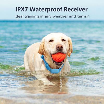 Show full view: PATPET P680 Lightweight Remote Dog Training Collar, 1 count, Sky Blue slide 7 of 12