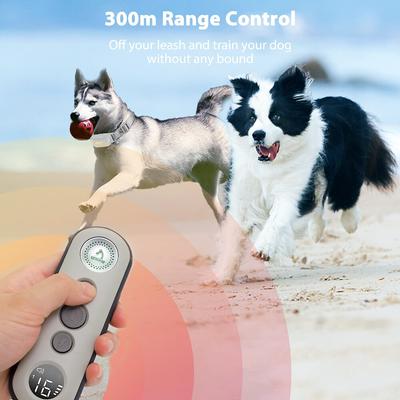 Show full view: PATPET P680 Lightweight Remote Dog Training Collar, 2 count slide 6 of 9