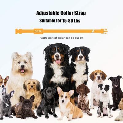 Show full view: PATPET P680 Lightweight Remote Dog Training Collar, 2 count slide 7 of 9