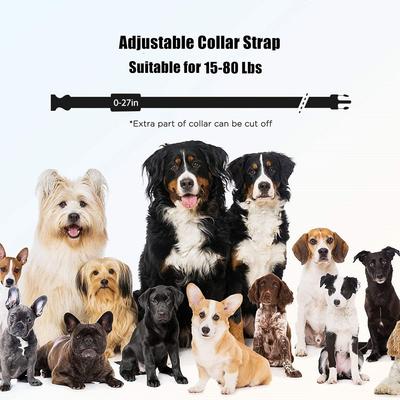 Show full view: PATPET P680 Lightweight Remote Dog Training Collar, Black, 2 count slide 7 of 9