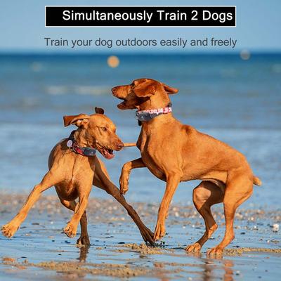 Show full view: PATPET P680 Lightweight Remote Dog Training Collar slide 7 of 12