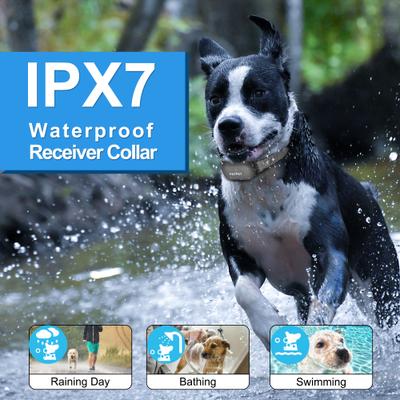 Show full view: PATPET P680 Lightweight Remote Dog Training Collar slide 5 of 12