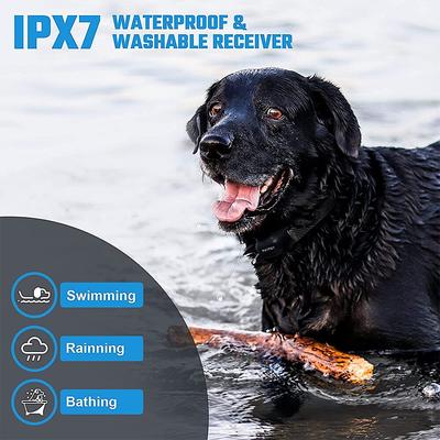 Show full view: PATPET P680 Lightweight Remote Dog Training Collar, Black, 1 count slide 6 of 10