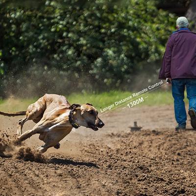 Show full view: PATPET P910 Military Professional 3000-ft Remote Vibrating Dog Training Collar, Black slide 4 of 10