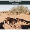 Show in main carousel: PATPET P920 Outdoor Dedicated 1300M Remote Dog Training Collar slide 6 of 11
