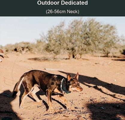 Show full view: PATPET P920 Outdoor Dedicated 1300M Remote Dog Training Collar slide 6 of 11