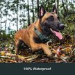Show in main carousel: PATPET P920 Outdoor Dedicated 1300M Remote Dog Training Collar slide 4 of 11