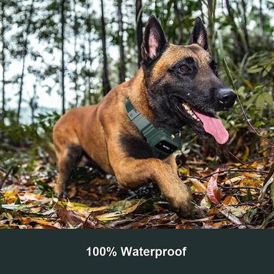 Show full view: PATPET P920 Outdoor Dedicated 1300M Remote Dog Training Collar slide 4 of 11