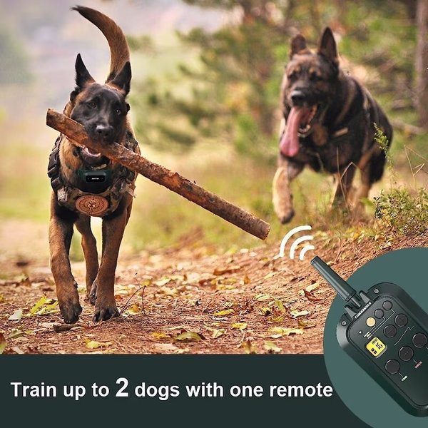 Show full view: PATPET P920 Outdoor Dedicated 1300M Remote Dog Training Collar slide 5 of 11