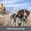 Show in main carousel: PATPET P920 Outdoor Dedicated 1300M Remote Dog Training Collar slide 3 of 11