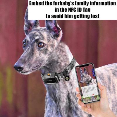 Show full view: PATPET P920 Outdoor Dedicated 4000ft Remote Dog Training Collar, Meisai, Small slide 7 of 11