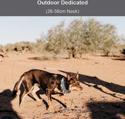 Show full view: PATPET P920 Outdoor Dedicated 4000ft Remote Dog Training Collar, Meisai, Small slide 6 of 11